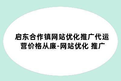 启东合作镇网站优化推广代运营价格从廉-网站优化 推广